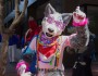 Tea’s Weird Week: How a Dogged Reporter Sniffed Out an Alt-Right Furry Infiltration
